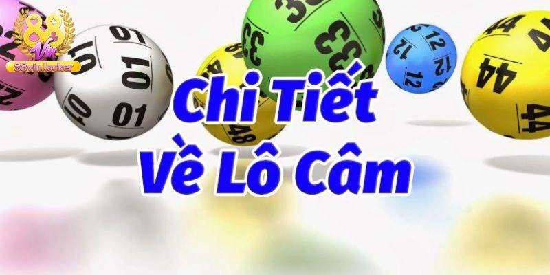 Lô Câm Là Gì? Cách Chơi Hiệu Quả Từ Chuyên Gia 88vin